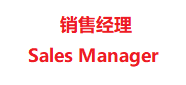 Sales Manager